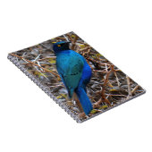 青素晴らし耳の星鳥 ノートブック (右側)