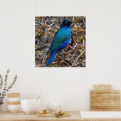 青素晴らし耳の星鳥 ポスター (キッチン)