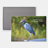 青素晴らし葉 マグネット (正面/裏面)