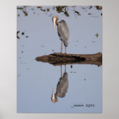 青素晴らし鷺 ポスター (正面)