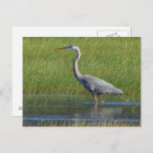 青素晴らし鷺 ポストカード (正面/裏面)