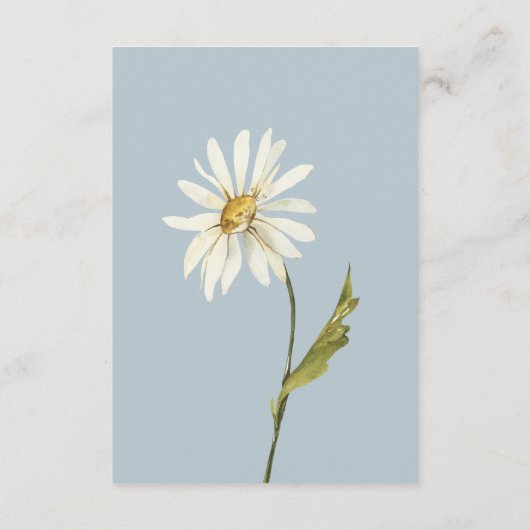 青素朴白デイジーの結婚詳細 エンクロージャーカード (裏面)