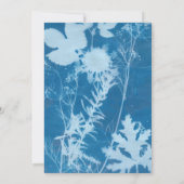 青素朴紅葉、秋 招待状 (裏面)