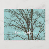 青素朴茶色の木の枝 ポストカード (正面)