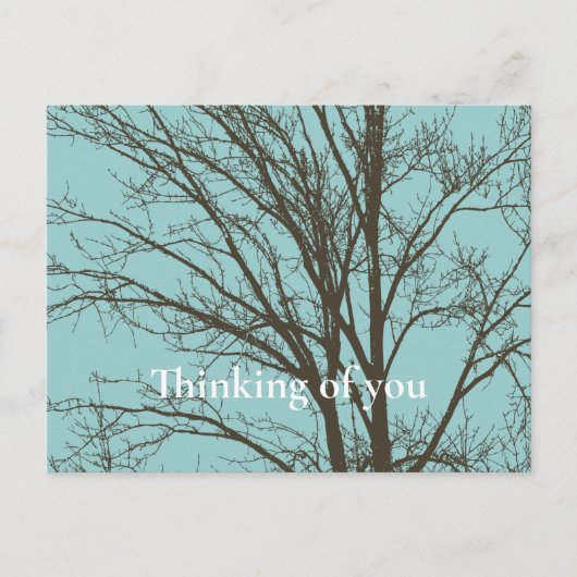 青素朴茶色の木の枝 ポストカード (正面)
