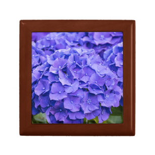 青紫かわいらし紫紫紫紫陽花 ギフトボックス