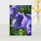 青紫のアネモネの花の写真 GC カード (黄色い花)