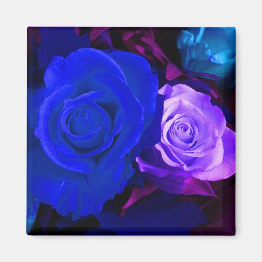 青紫色のバラ磁石-カスタマイズ可能 マグネット (正面)