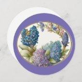 青紫色のヒヤシンス (正面/裏面)