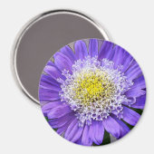 青紫色花 マグネット (正面/裏面)