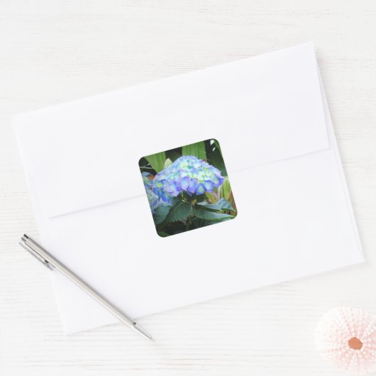 青紫陽花フローラ自然写真 スクエアシール (封筒)
