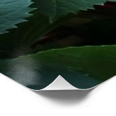 青紫陽花フローラ自然写真 ポスター (コーナー)