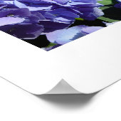 青紫陽花ミックス、青紫陽花 ポスター (角)