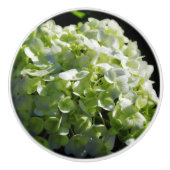 青紫陽花 セラミックノブ (正面)
