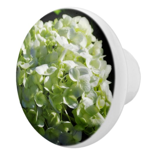 青紫陽花 セラミックノブ (右)