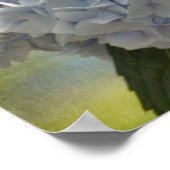 青紫陽花 ポスター (角)