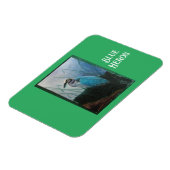 青絵を描いヘロンの可撓性磁石 マグネット (左側)