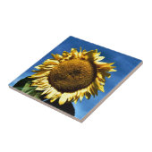 青絵を描い空に向かって大きな黄色のひまわり タイル (側面)