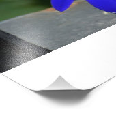 青絵を描デイジー フォトプリント            (角)