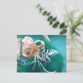 青緑の蝶 ポストカード (スタンド正面)