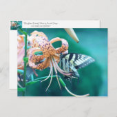 青緑の蝶 ポストカード (正面/裏面)