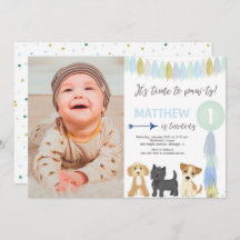 青緑色の金ゴールドのかわいい犬の子犬の誕生日写真