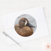 青翼ティール(緑がかった色)のポートレート ラウンドシール (封筒)