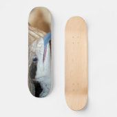 青舌のトカゲ スケートボード (正面)