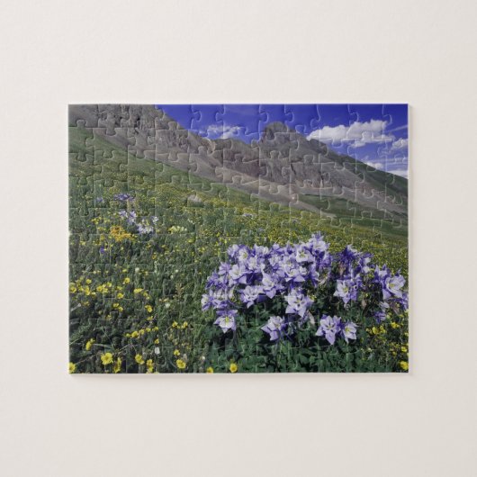 青色の高山の草原の山々と野花 ジグソーパズル (横)