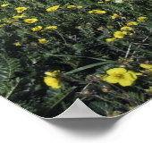 青色の高山の草原の山々と野花 ポスター (角)
