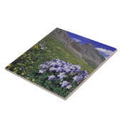 青色の高山の草原の山と野花 タイル (側面)