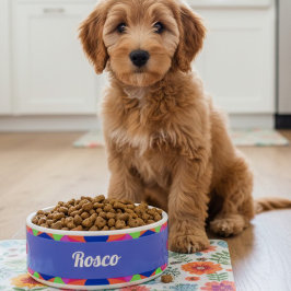 青色カラフルレトロ幾何セラミックペットボウル ボウル