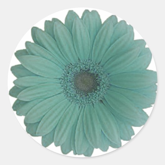 青色ガーベラデイジー ラウンドシール (正面)