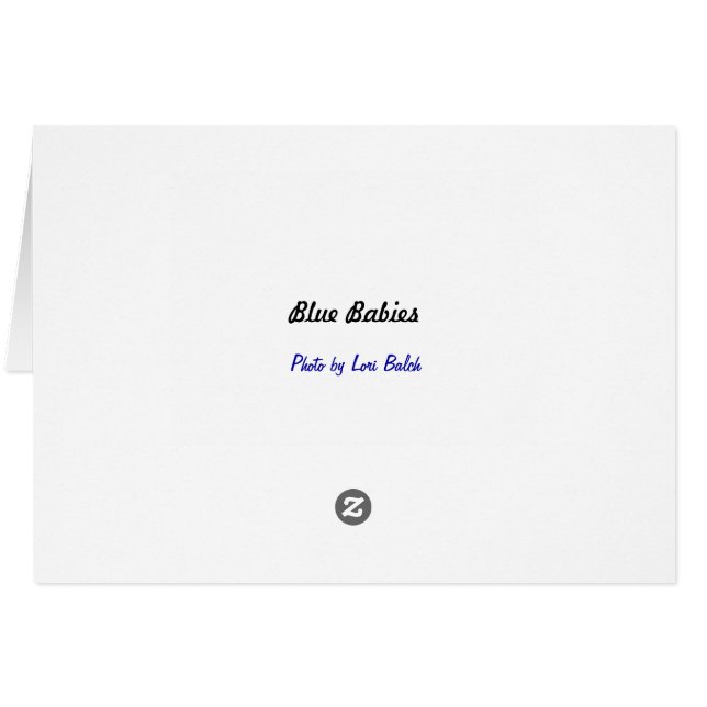 青色児 (裏面横)