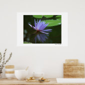 青色反射 ポスター (キッチン)