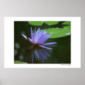 青色反射 ポスター (正面)