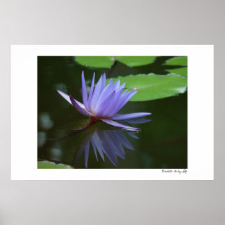 青色反射 ポスター