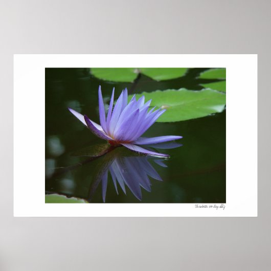 青色反射 ポスター (正面)