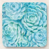 青色多肉類 コースター (正面)