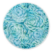 青色多肉類 セラミックノブ (正面)