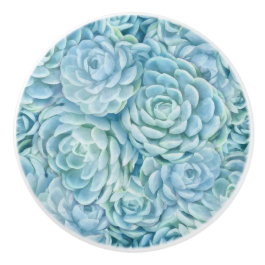 青色多肉類 セラミックノブ (正面)