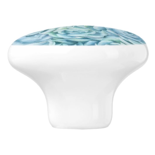 青色多肉類 セラミックノブ (側面)