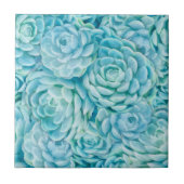 青色多肉類 タイル (正面)