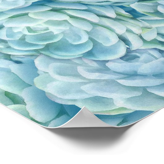 青色多肉類 ポスター (角)