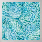 青色多肉類 ポスター (正面)