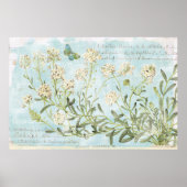 青色植物学 ポスター (正面)