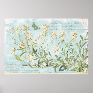 青色植物学 ポスター