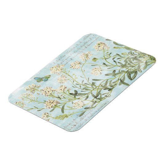 青色植物学 マグネット (左側)