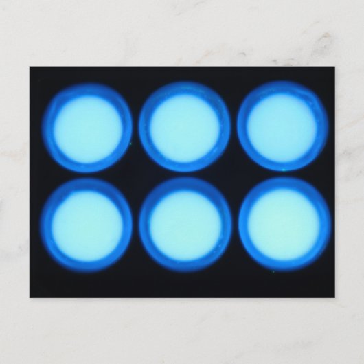 青色発光 ポストカード (正面)