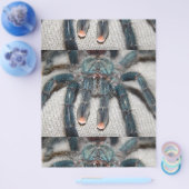 青色色色色色色色色色色色色色色色色色色色色色色色色色色色色色色色色色色色色色色色色色色色色色色色色色 チラシ (シングル)